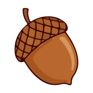 Lola Godet - Diététicienne Nutritionniste Lyon 1 Lyon, Diététicien