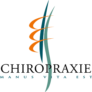 Stéphane Docoche Galluis, Chiropracteur