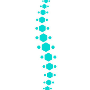 Clément Guillon Verne - Ostéopathe Campénéac, Ostéopathe