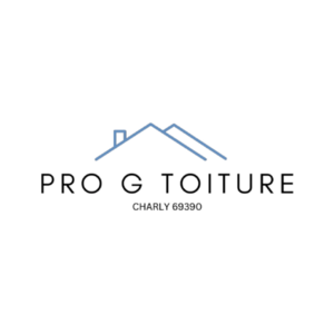 Pro G Toiture Charly, Couvreur, Zingueur