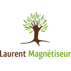 Laurent DHAYER - Magnétiseur  Orléans, Magnétisme