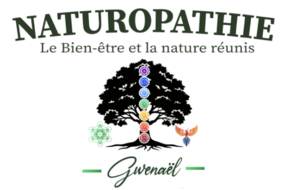Gwenaël Naturopathe Saint-Louis, Naturopathe