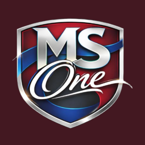 Ms One Alu Menuisier en Alsace aluminium Molsheim, Menuisier, Menuiserie aluminium