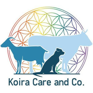 Koira Care and Co - Émeline VOITURET  Longcochon, Energeticien
