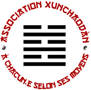 Association Xunchaodàn Villeurbanne, Médecine chinoise