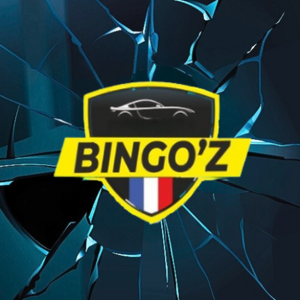 Bingo'z Paris 15, Pare-brise, toits ouvrants (vente, pose, réparation)